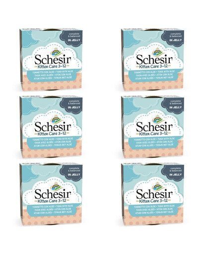 SCHESIR Thon à l'aloe vera pour les chatons 6x85g