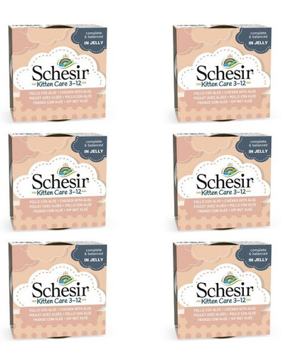 SCHESIR Poulet à l'aloès pour chatons 6x85G