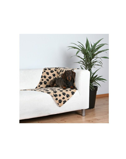 TRIXIE Couverture 100 x 70 cm beige avec pattes noires