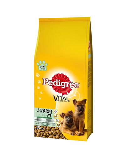 PEDIGREE Junior poulet grande race 15 kg