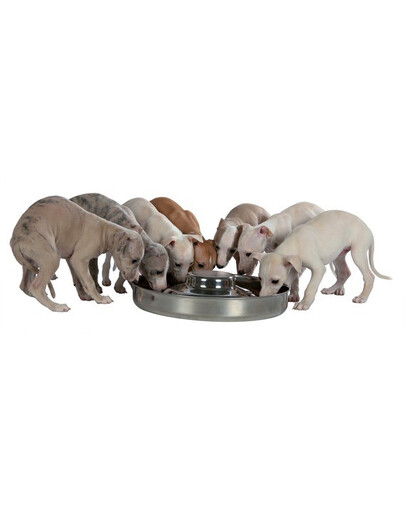 TRIXIE Gamelle inox pour chiot 1,4L / 29 cm