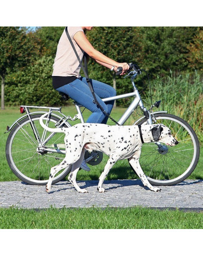 TRIXIE Laisse amortisseur de choc pour faire du vélo et jogging avec son chien