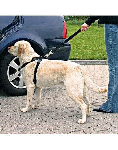 TRIXIE Harnais de voiture pour chien L