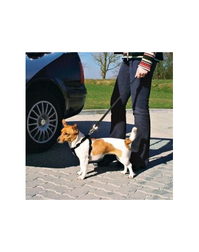 TRIXIE Harnais de voiture pour chien M