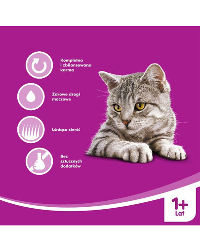 WHISKAS Saumon en sauce 100 g x 24