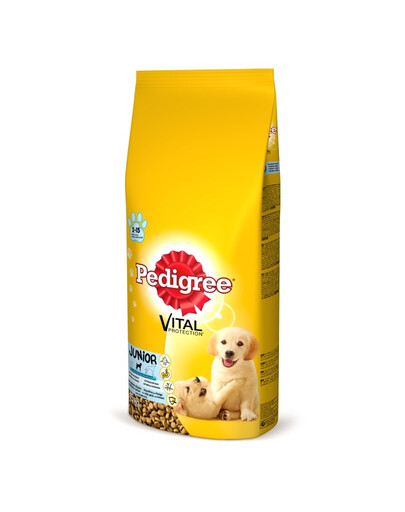PEDIGREE Vital Protection Junior Croquettes au poulet et au riz pour chiots de taille moyenne 15 kg