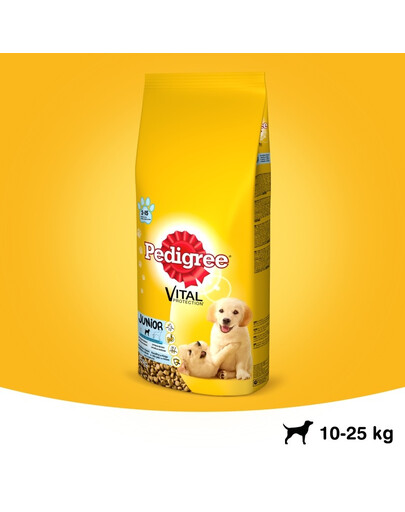 PEDIGREE Vital Protection Junior Croquettes au poulet et au riz pour chiots de taille moyenne 15 kg