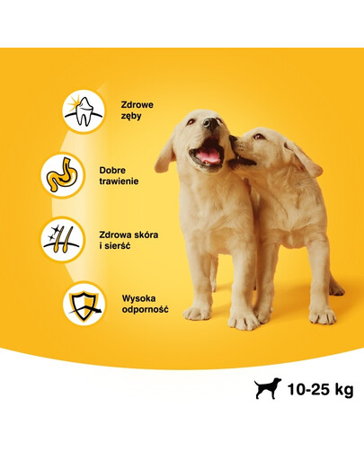 PEDIGREE Vital Protection Junior Croquettes au poulet et au riz pour chiots de taille moyenne 15 kg