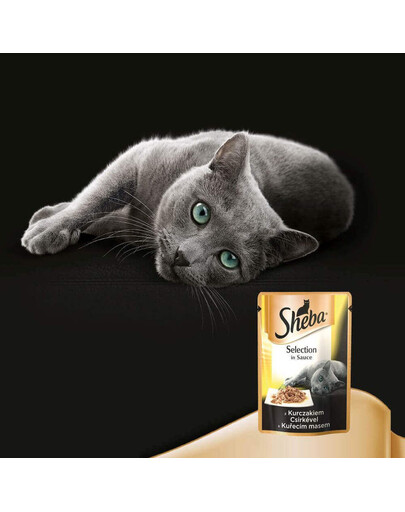 SHEBA Cusine z kurczakiem w sosie 85g x12