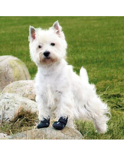 TRIXIE Bottes de protection Walker Active, M-L, 2 pcs.