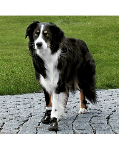 TRIXIE Bottes de protection Walker Active, M-L, 2 pcs.