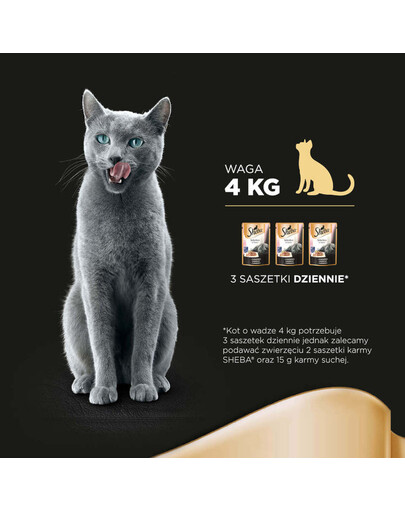 SHEBA Selection in Sauce 85 g avec du saumon