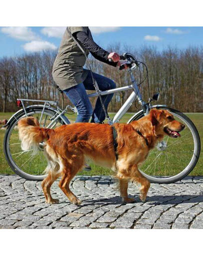 TRIXIE Laisse vélo et jogging pour chiens