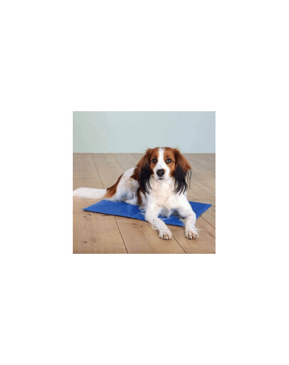 TRIXIE Tapis rafraîchissant 65 × 50 cm bleu