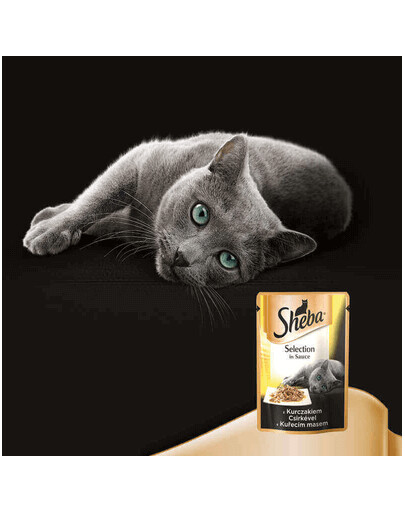 SHEBA Selection in Sauce z Kurczakiem
