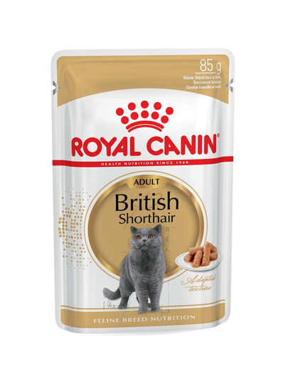 ROYAL CANIN British Shorthair 85g