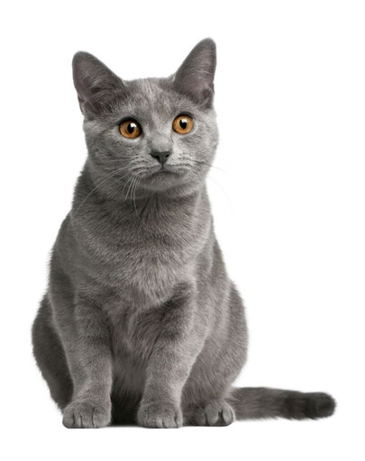 FITMIN Cat Purity Indoor 400 g