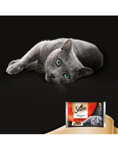SHEBA Selection in Sauce Soczyste Smaki 24 x 85g