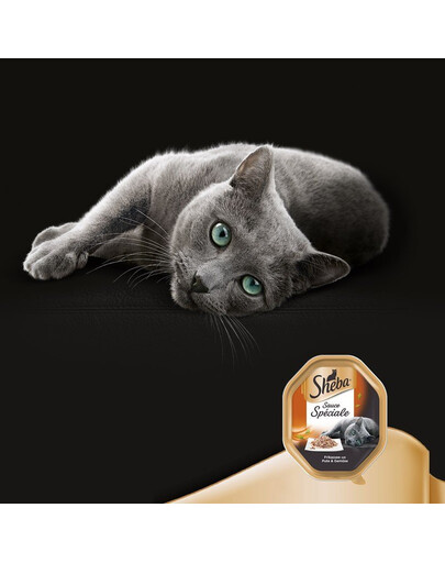 SHEBA frykas indyk z warzywami 22 x 85g