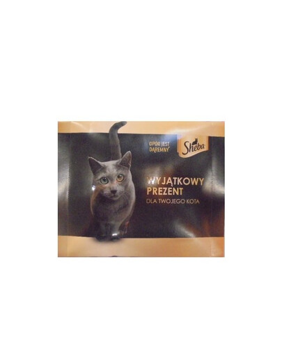 SHEBA Enveloppe