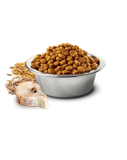 FARMINA N&D Ancestral Grain Codfish&Orange Adult Pour les chats adultes avec morue et orange 5 kg