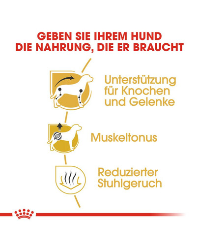 ROYAL CANIN Dachshund adult 0.5 kg nourriture sèche pour chiens teckels adultes