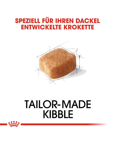 ROYAL CANIN Dachshund adult 0.5 kg nourriture sèche pour chiens teckels adultes
