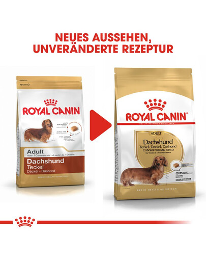 ROYAL CANIN Dachshund adult 0.5 kg nourriture sèche pour chiens teckels adultes