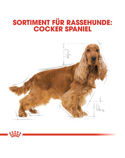 ROYAL CANIN Cocker adult 3 kg