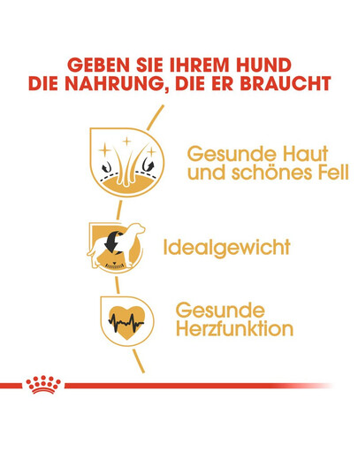 ROYAL CANIN Cocker adult 3 kg