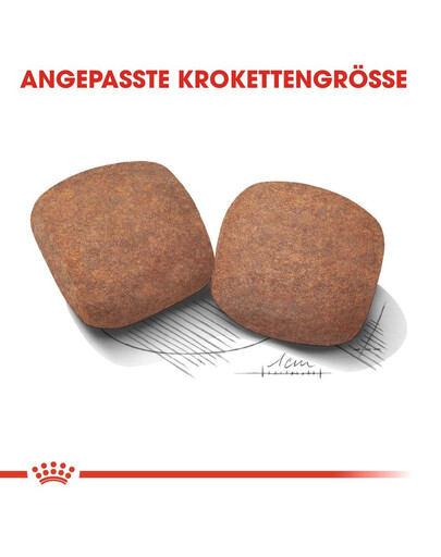 ROYAL CANIN Giant adult croquettes pour chiens adultes, à partir de 18/24 mois, races géantes 15 kg + 3 kg