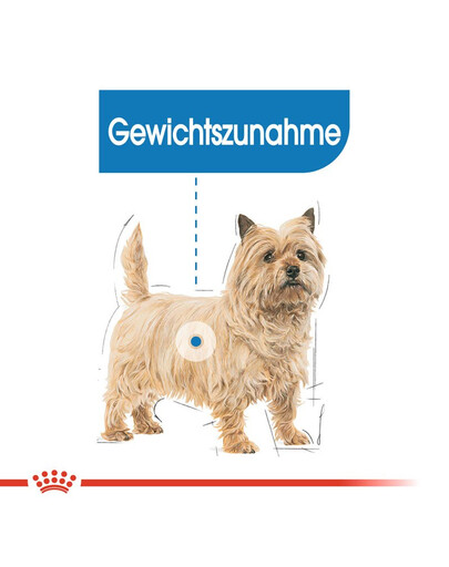 ROYAL CANIN Mini light weight care 1 kg - croquettes pour chiens adultes, petites races sujettes au surpoids
