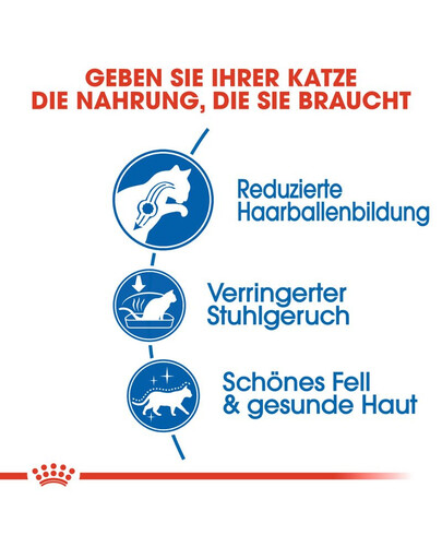 ROYAL CANIN Indoor long hair 35 4 kg nourriture sèche pour chats adultes à poils longs, exclusivement à l'intérieur