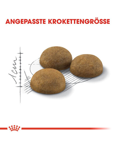 ROYAL CANIN Indoor long hair 35 2 kg nourriture sèche pour chats adultes à poils longs, exclusivement à l'intérieur