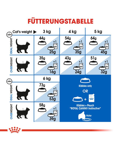 ROYAL CANIN Indoor long hair 35 4 kg nourriture sèche pour chats adultes à poils longs, exclusivement à l'intérieur
