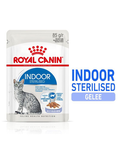ROYAL CANIN Indoor Sterilised en gelée 12 x 85 g