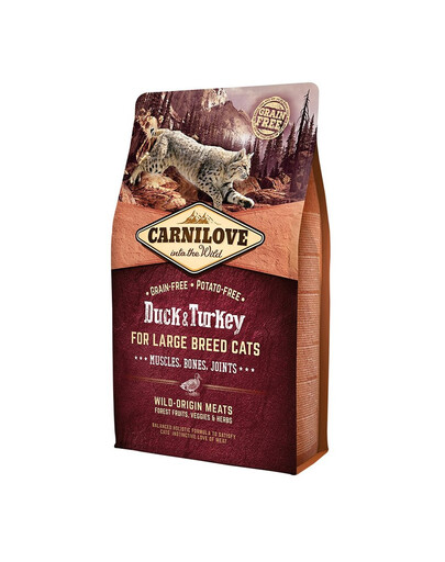 CARNILOVE Chat Grandes Races Canard & Dinde 2 kg