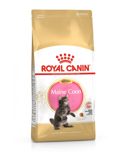 ROYAL CANIN Maine Coon Kitten 400 g