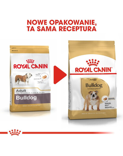 ROYAL CANIN Bulldog Adult aliments secs pour chiens bulldogs adultes 3 kg