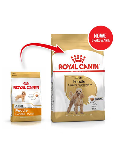 ROYAL CANIN Poodle adult 0.5 kg nourriture sèche pour caniches miniatures adultes