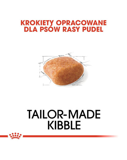 ROYAL CANIN Poodle adult 0.5 kg nourriture sèche pour caniches miniatures adultes