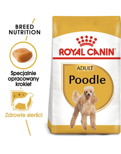 ROYAL CANIN Poodle adult 0.5 kg nourriture sèche pour caniches miniatures adultes