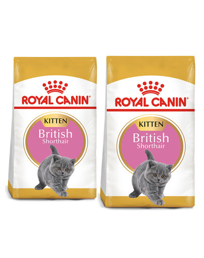 ROYAL CANIN Kitten british shorthair - pour chatons British Shorthair - 2 x 10 kg