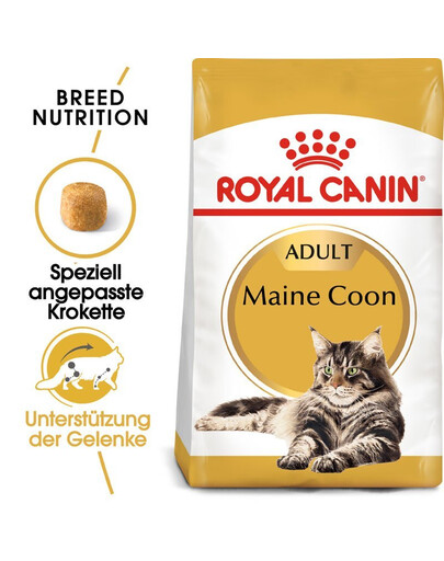 ROYAL CANIN Maine Coon Adult - Croquettes pour chats Maine Coon adultes - 20 kg (2x10 kg)