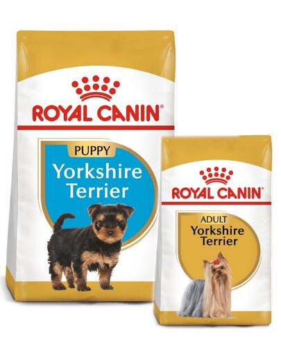 ROYAL CANIN Yorkshire Terrier Junior 7.5 kg + alimentation suivante 0.5kg