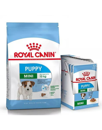 ROYAL CANIN Mini Puppy / Junior Aliments secs pour chiots de 2 à 10 mois, petites races 8 kg + Mini puppy 12x85 g