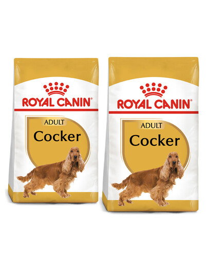 ROYAL CANIN Cocker adult 2 x 12 kg
