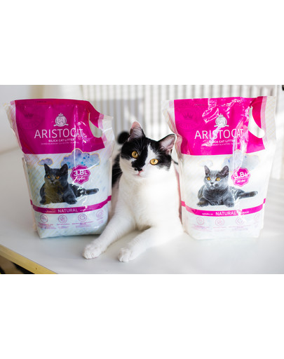 ARISTOCAT Litière en silicone pour chats 3,8 L non parfumée