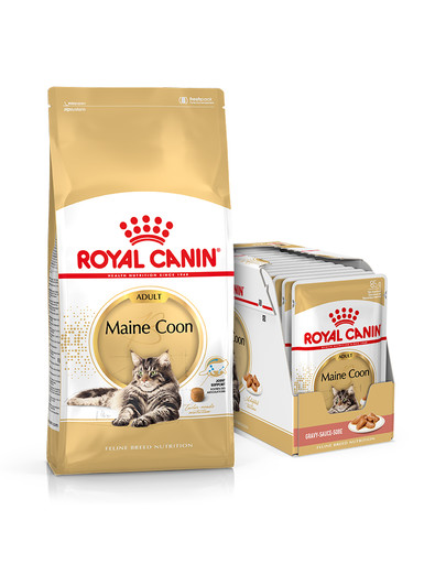 ROYAL CANIN Maine Coon Adult 10 kg + Nourriture humide Maine Coon 12x85 g