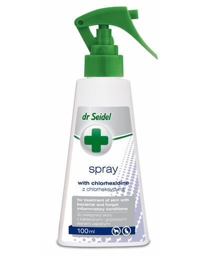 DR SEIDEL Spray à la chlorhexidine pour peau à inflammations bactériennes et fongiques 100 ml